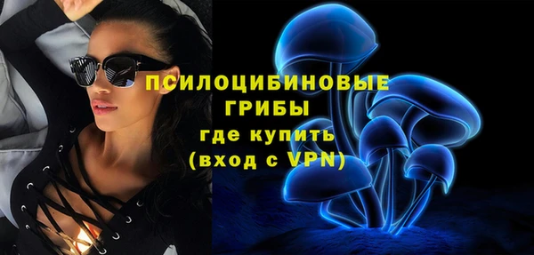 прущие крисы Армянск