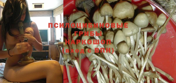 прущие крисы Армянск