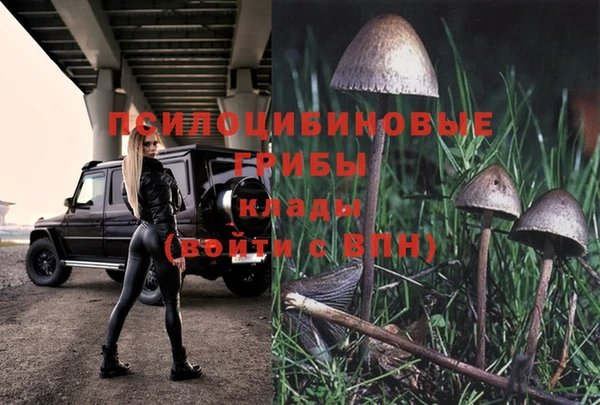 прущие крисы Армянск