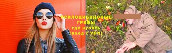 прущие крисы Армянск